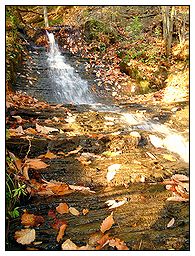 Bare Bunns Falls