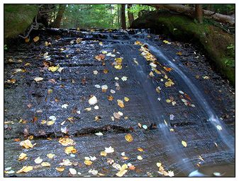 Lower Deer Lick Falls