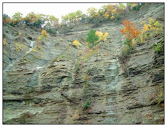 Hair Pin Canyon