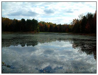 Holcomb Pond