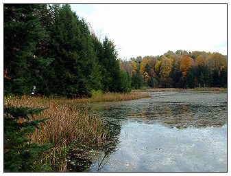 Holcomb Pond