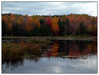 Holcomb Pond