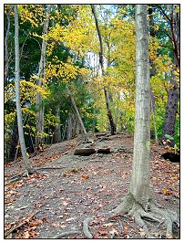 The path up Pyramid Hill