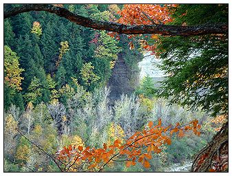 Ross Falls